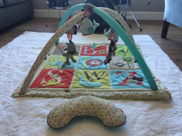 skip hop alphabet zoo activity gym