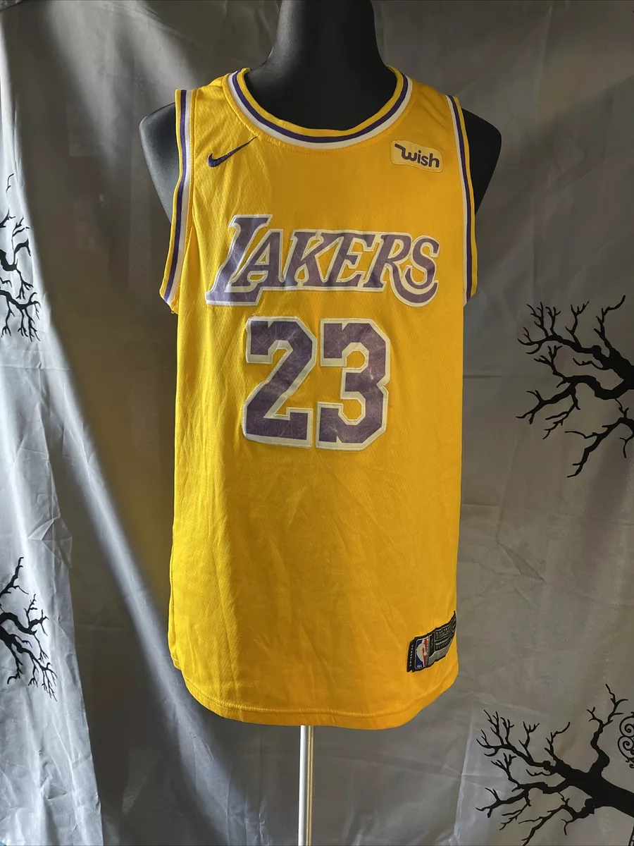 LeBron James Los Angeles Lakers Men's #23 Striped Jersey - Blue