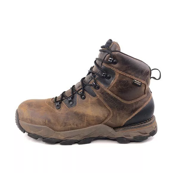 Irish setter cheap crosby
