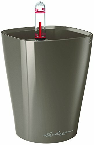 Lechuza Premium Mini Deltini 13 Centimetri Alto, Laccato Taupe Auto (l7z)