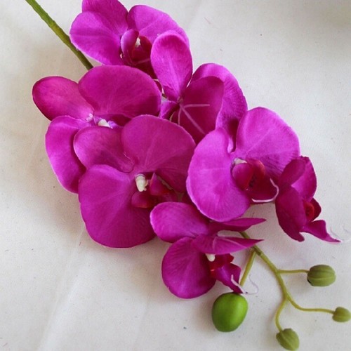 2X Künstliche Schmetterling Orchidee Gefälschte Phalaenopsis Seidenblume Home Hochzeit Dekor - Bild 20 von 22