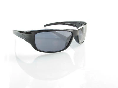 Alpland SONNENBRILLE MOTORRADBRILLE BIKER BRILLE MODELL BLACK Black Viper
