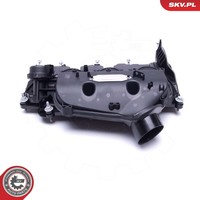 Esen SKV Zylinderkopfhaube 48SKV082 FüR Jaguar Land Rover