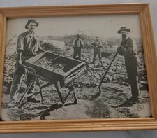 Antique 1901 Rare Original  photo of Australian gold panners.