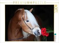 Calvendo Puzzle Haflinger Stallion With A Flower | 1000 Pieces, Finished Size 25