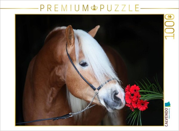 Calvendo Puzzle Haflinger Stallion With A Flower | 1000 Pieces, Finished Size 25-image