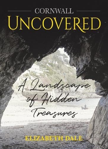 UNCOVERED A Landscape of hidden treasures by Elizabeth Dale (Hardback Book) - Image 4
