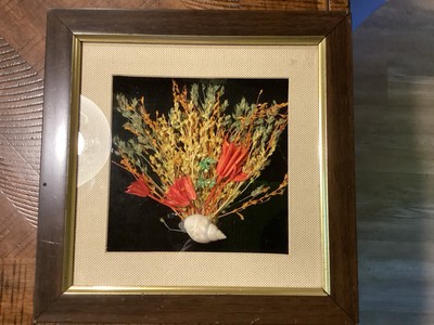 Shadow Box MCM Dried Flowers  Picture Wall Hanging  She ll