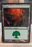 Forest (153) - Planechase Anthology #153/156 MTG Magic The Gathering Spanish