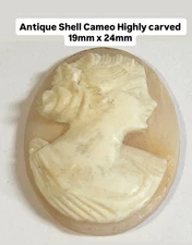 Antique Shell Cameo Highly Carved 19mm X 24mm