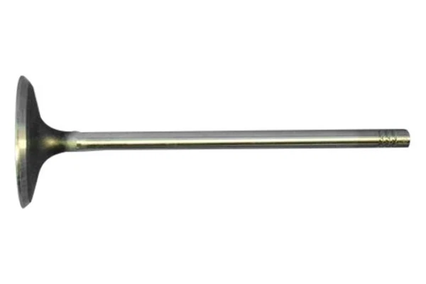 For Ram ProMaster City 2015-2022 Ram Engine Intake Valve Foto 2 de 3