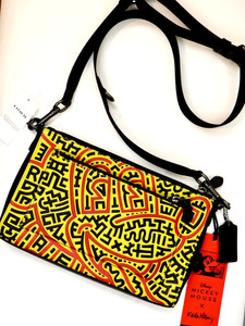Coach Keith Haring | eBay