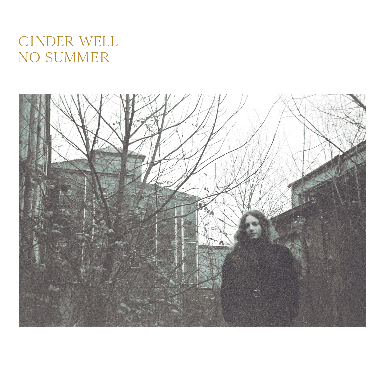 Cinder Well No Summer (Vinyl LP) 12" Album