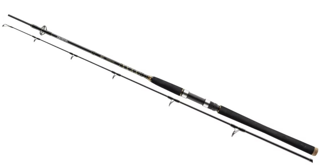 Canne à Pêche Mer Shimano Bandit BG M165 Pour Appât Vivant, Gros Jeu Offshore - Neuf