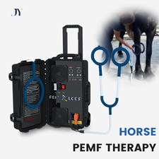 Hot PEMF Therapy Machine for Horses - Equine Massage PMST Loop Pain Relief