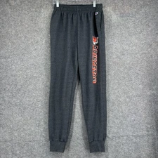 Princeton Tigers Sweatpants Joggers Mens Medium Gray NCAA Basketball Champion
