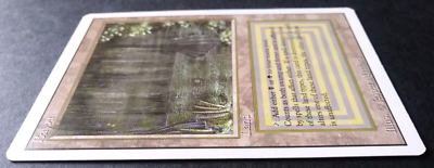 1x Bayou MTG **MT/NM (Revised, English) Dual Land | eBay