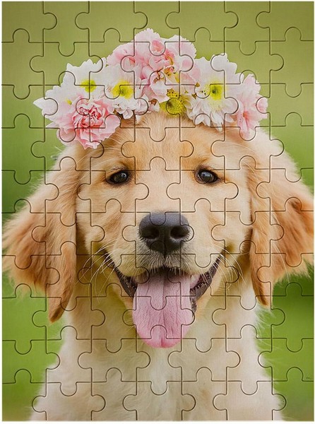 Personaliza puzzles de madera personalizados para tus fotos