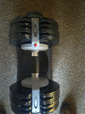 Everlast Dialtech Adjustable 2 Dumbells 32.5kg with Base Stand Black/Grey