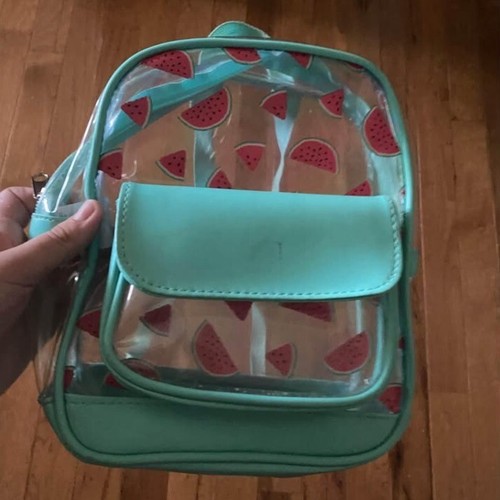 Transparenter Mini Rucksack Wassermelonenmuster Aqua verstellbare Träger Reißverschluss - Bild 7 von 7