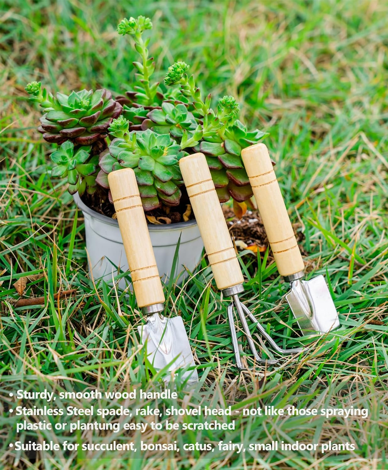 Plant Repotting Mat, 5Pcs Succulent Tools Mini Garden Small Gardening green