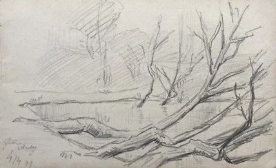 Zeichnung Studie Bleistift Ufer mit kahlen liegenden Bäumen See datiert 1899 - Bild 1 von 4