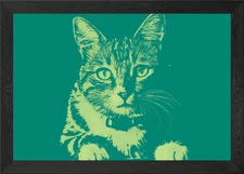 Pop Art Cat Deep green Framed Wall Art Poster Canvas Print Picture