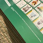 Pokemon Brilliant StarsPromotional Poster 27"x37" — photo 3