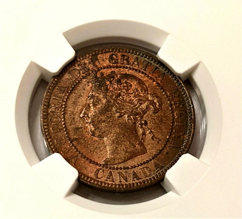 1901 Canada Large Cent NGC CERTIFIED MS-62 RB  RED BROWN - 👀 TRUE UNC!!