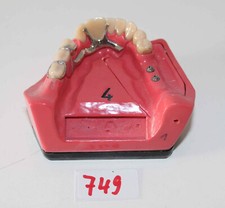 Go Dent Schaumodell Nr.  4  (bezahnt) wie abgebildet Art. Nr. 749