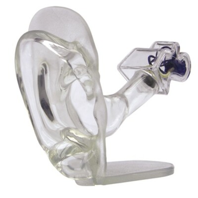 Ear CLEAR Full Size Anatomical Model GPI  LFA #2251 SEE VIDEO Make Us an Offer!