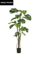 Artplants KüNstlicher Philodendron Tanieso, Kunststamm, Luftwurzeln, 180Cm