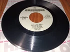 Pink Floyd Run Like Hell / Comfortably Numb Columbia Record 13-02165 Vinyl 7" 45