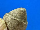 Very Hard Rammed Miniball, Dug On The Slopes of MISSIONARY RIDGE — photo 7