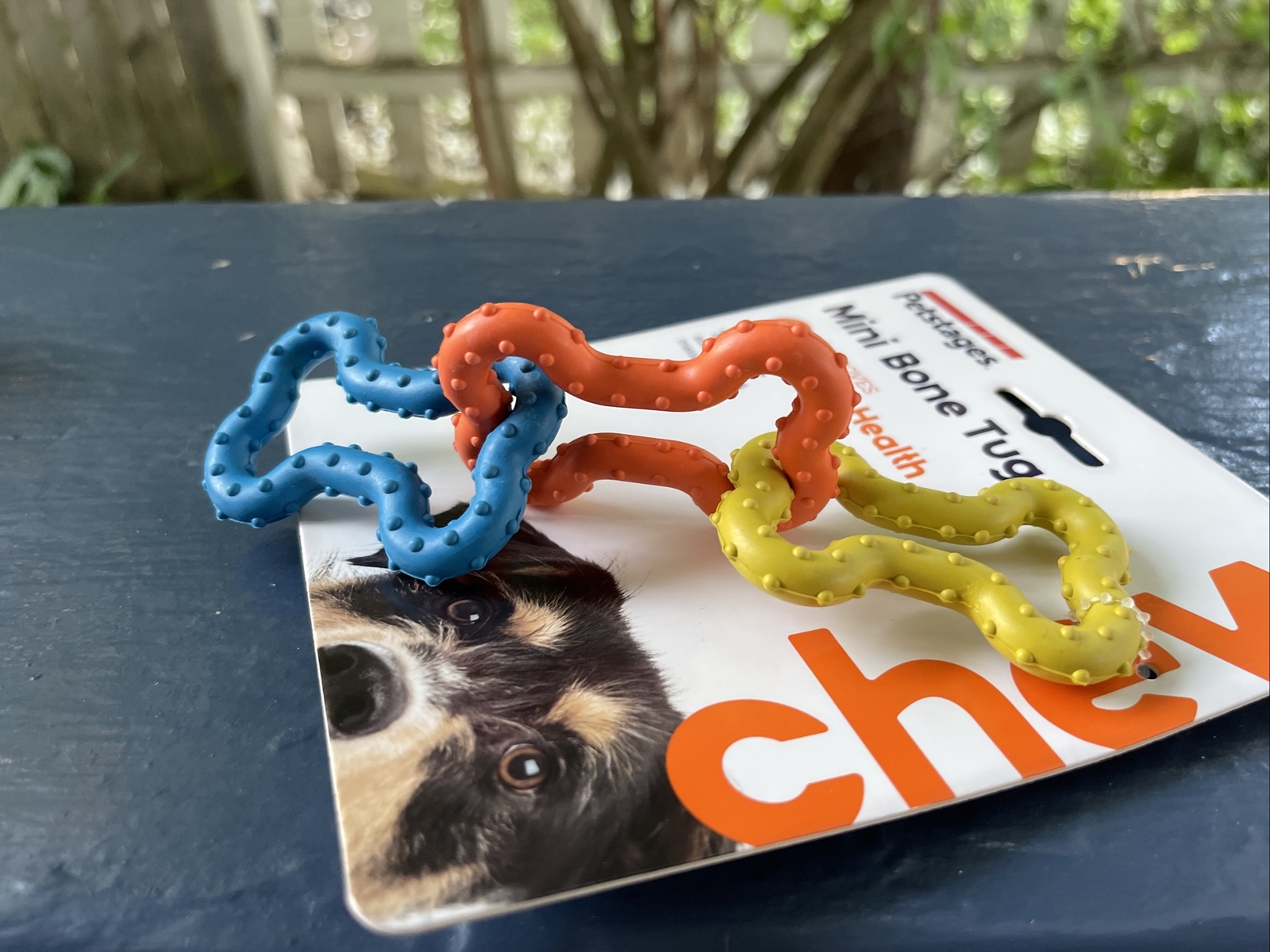 Petstages ~ Mini Bone Tug Toy ~ Multi-Color ~ Dog Toy