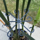 Plant Support Ring–Adjustable Indoor Plant Organizer for Upright Growth & Health