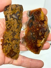 Turkish Golden Moss Agate end Slabs Cabbing Lapidary Collecting Combo Ship Avail