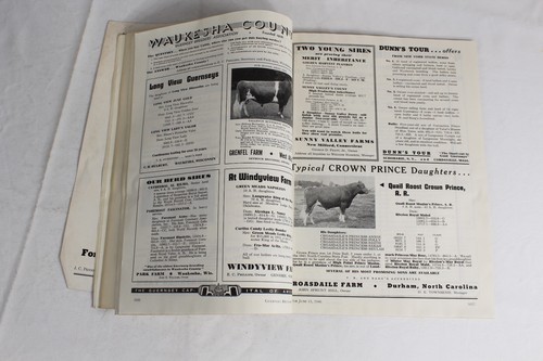 Guernsey Breeders Journal June 15, 1946 Cow Calf Bull Farms Cattle Dairy Ads - Imagen 20 de 24