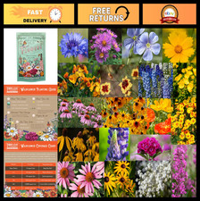 Midwestern Wildflower Seed Mix - 1 lb Bulk - 640,000+ Annual & Perennial Flowers 91.99 per gallon