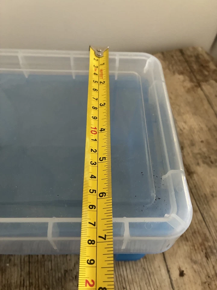 Really Useful 3L Plastic Storage Box With Lid 245x180x160mm blue - Image 4 of 4