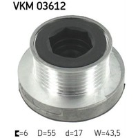 SKF Generatorfreilauf FüR Renault Megane Scenic JA0/1_ 1.6 16V 1.6E ScéNic I