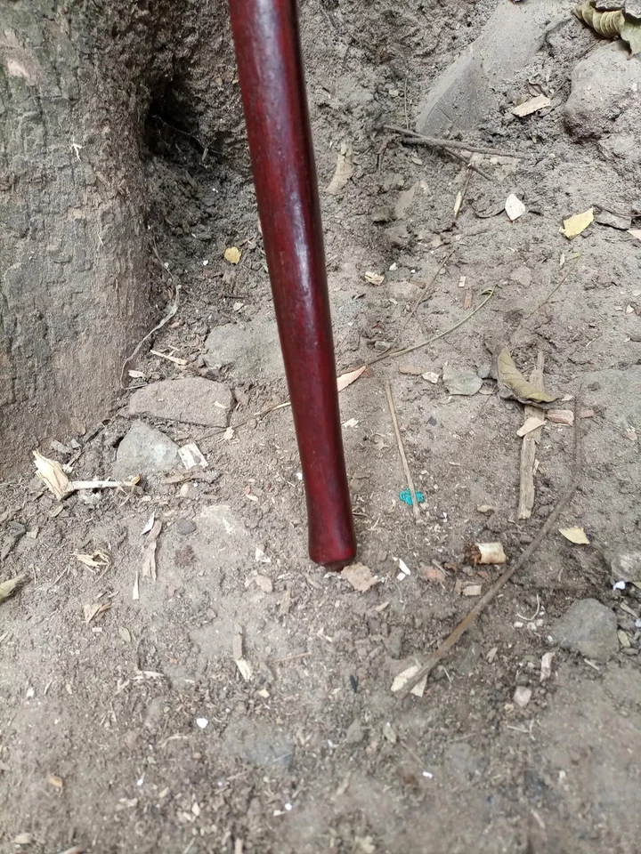 Original 1920 Estilo Africano Palisandro Hierro Caoba Caminar Senderismo Bastón Ambi Foto 4 de 4