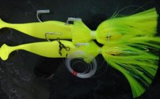 Blue Water Candy Mojo Loaded Tandem Parachute Rig Chartreuse