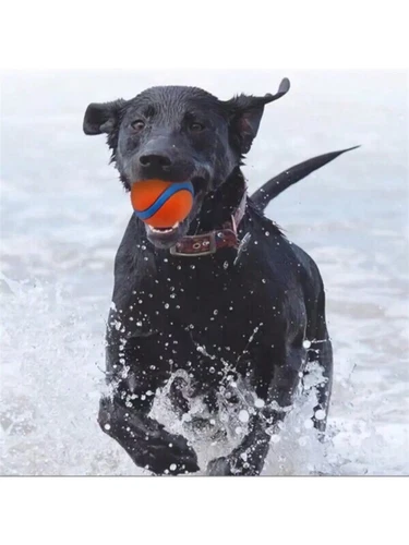 Bouncy Puppy Rubber Dog Balls Solid Hard Play Pet Ball Fun Fetch Chew - Picture 3 of 3