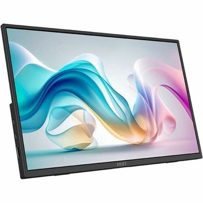 MSI Pro MP165 E6 16'' Class Full HD LCD Monitor - 16:9 - Matte Black