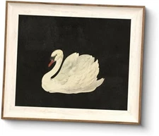 ASTRDECOR Framed Wall Art for Living Room Swan Canvas Oil 12"L x 10"W Vintage