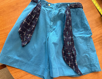 VINTAGE Lizwear by Liz Claiborne Blue Shorts  10