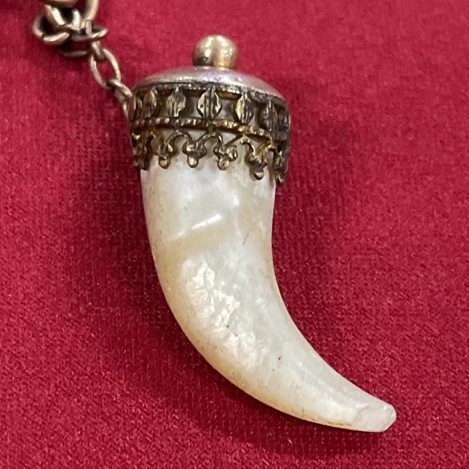 Llavero llavero hueso fósil cazadores madreperla KB relleno de oro Foto 3 de 4