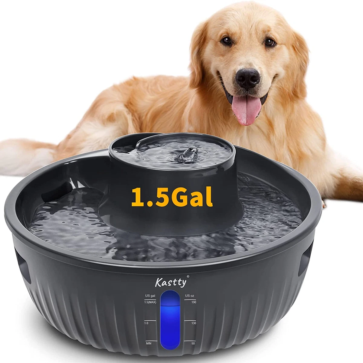 Large dog cheap water fountain