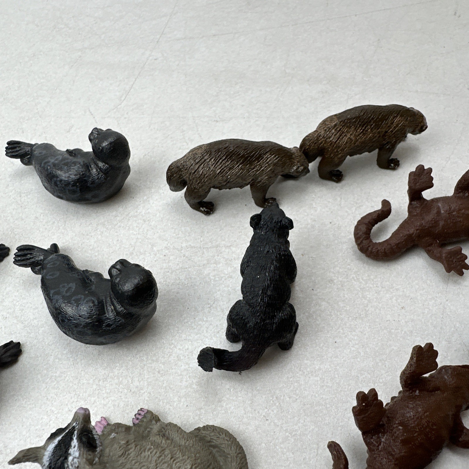 Lot of Yowie Animal Figures Sugar Glider Seal Sea Star Frog Chinhai Wolverine